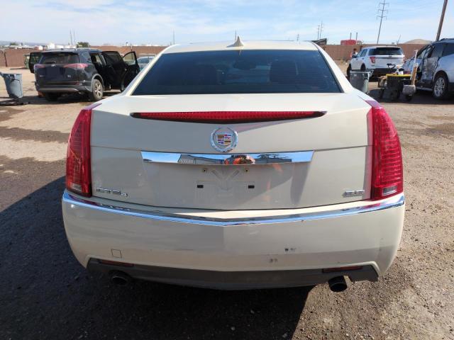 1G6DL5EV0A0129466 - 2010 CADILLAC CTS PERFORMANCE COLLECTION Krem foto 6