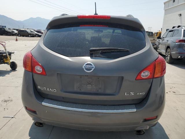 JN8AZ1MW3AW117993 - 2010 NISSAN MURANO S BROWN photo 6