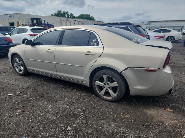 1G1ZC5EB5AF136671 - 2010 CHEVROLET MALIBU 1LT CREAM photo 2