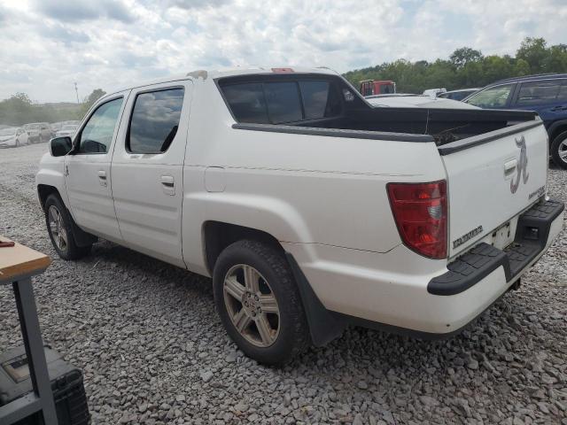 5FPYK16539B101660 - 2009 HONDA RIDGELINE RTL WHITE photo 2