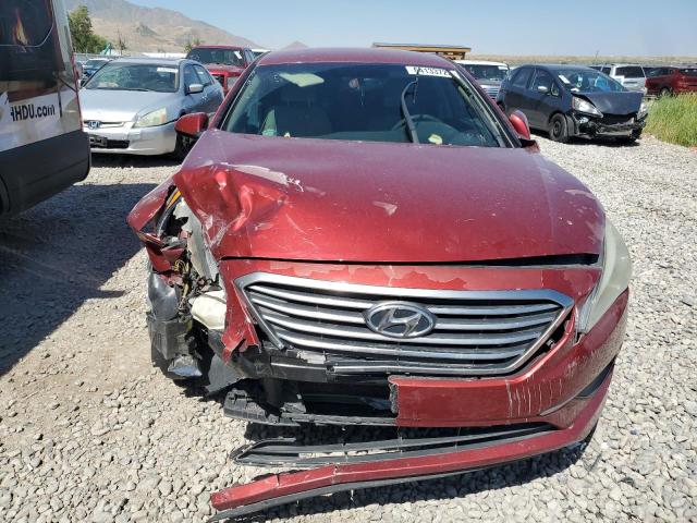 5NPE24AFXGH262664 - 2016 HYUNDAI SONATA SE წითელი ფოტო 5