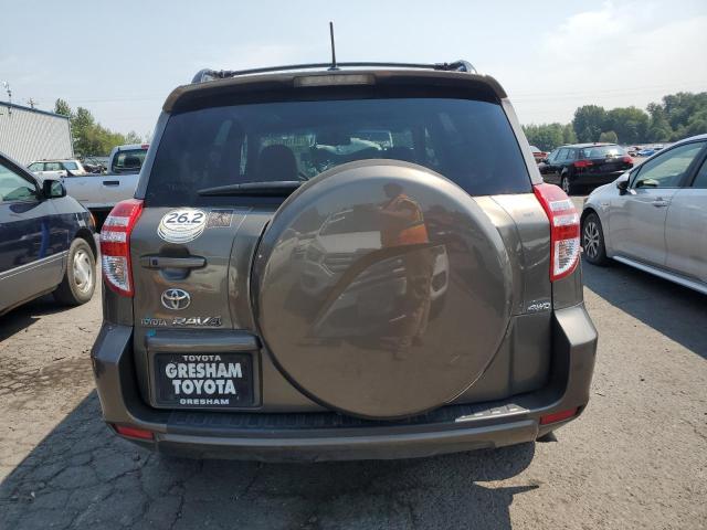 JTMBF31V395005745 - 2009 TOYOTA RAV4 LIMITED TAN photo 6