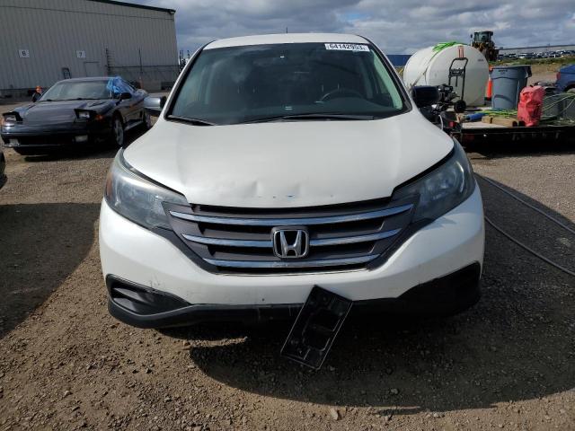 2HKRM4H34EH105345 - 2014 HONDA CR-V LX WHITE photo 5