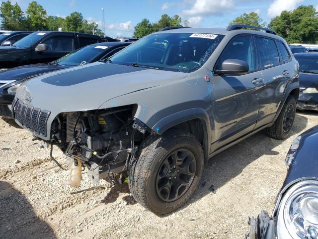 1C4PJMBN2KD379879 - 2019 JEEP CHEROKEE TRAILHAWK SILVER photo 1