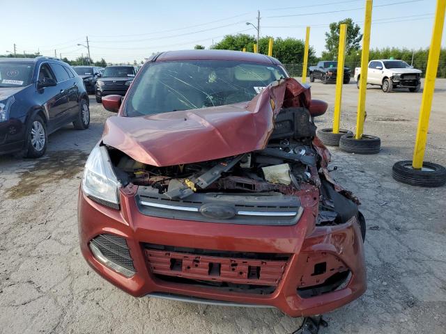 1FMCU9GX5EUE09020 - 2014 FORD ESCAPE SE MAROON photo 5