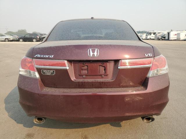 1HGCP3F89BA013853 - 2011 HONDA ACCORD EXL BURGUNDY photo 6