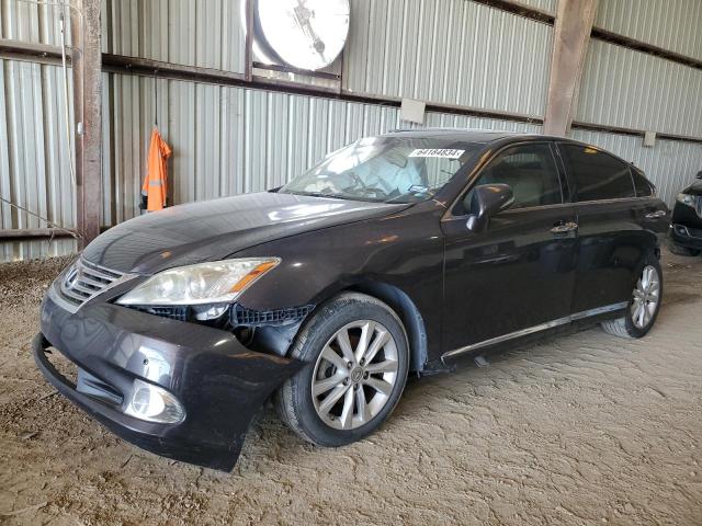 JTHBK1EG4B2425533 - 2011 LEXUS ES 350 GRAY photo 2