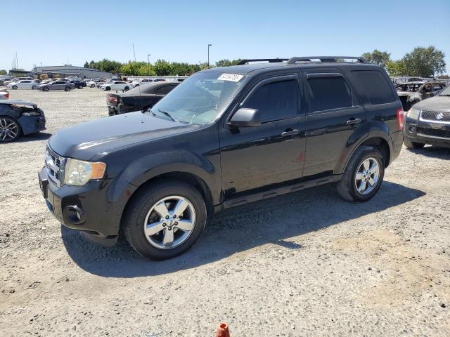 2010 FORD ESCAPE XLT, null