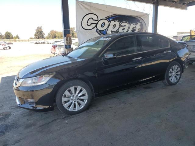 2013 HONDA ACCORD TOURING, null
