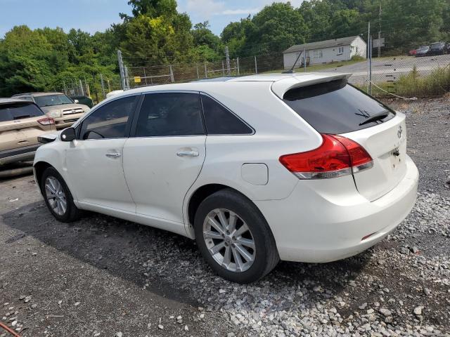 4T3ZE11A59U015110 - 2009 TOYOTA VENZA WHITE photo 2