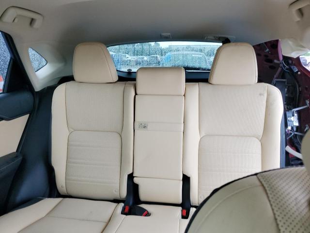 JTJDARBZ4M5031739 - 2021 LEXUS NX 300 BASE წითელი ფოტო 10