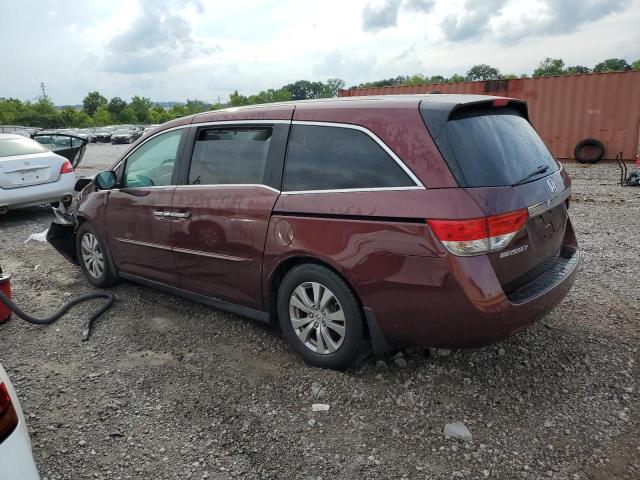 5FNRL5H33GB116864 - 2016 HONDA ODYSSEY SE BURGUNDY photo 2