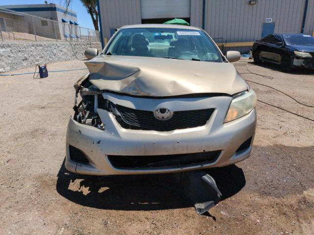 1NXBU4EE7AZ278263 - 2010 TOYOTA COROLLA BASE GOLD photo 5
