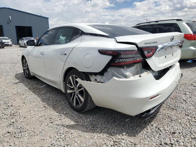 1N4AA6AVXKC367431 - 2019 NISSAN MAXIMA S WHITE photo 2