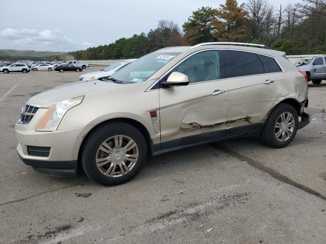 3GYFNDE37CS512349 - 2012 CADILLAC SRX LUXURY COLLECTION BEIGE photo 1