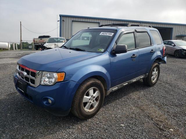 2010 FORD ESCAPE XLT, 