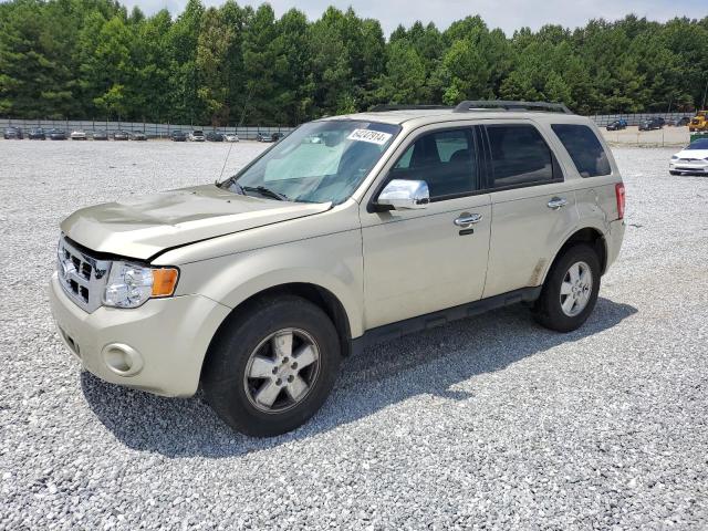 2011 FORD ESCAPE XLT, 