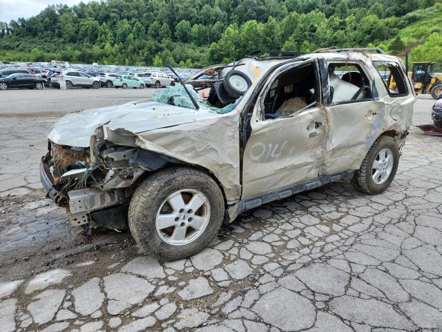 2011 FORD ESCAPE XLT, 