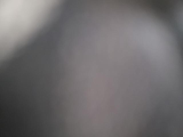 ZFBERFAT6F6A16528 - 2015 RAM PROMASTER თეთრი ფოტო 12