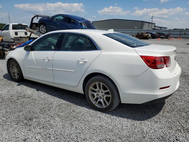 1G11C5SA4DF211566 - 2013 CHEVROLET MALIBU 1LT 白色 照片 2