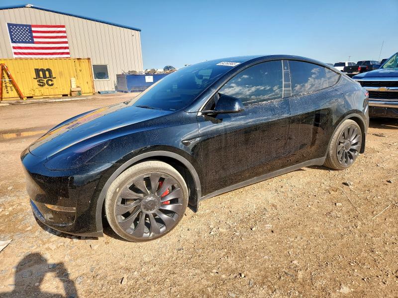 2023 TESLA MODEL Y, 