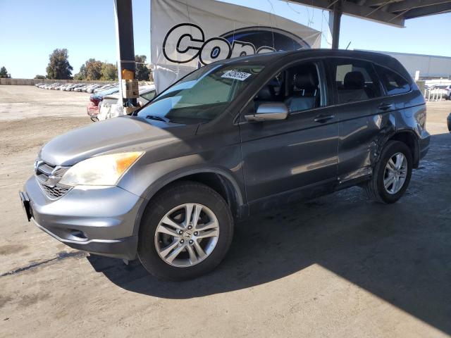 2010 HONDA CR-V EXL, null