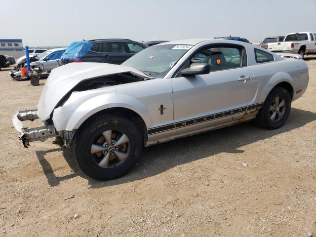 1ZVFT80N365259540 - 2006 FORD MUSTANG SILVER photo 1