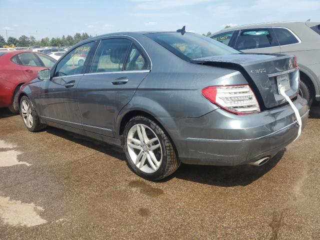 WDDGF8BB0CA602217 - 2012 MERCEDES-BENZ C 300 4MATIC GRAY photo 2