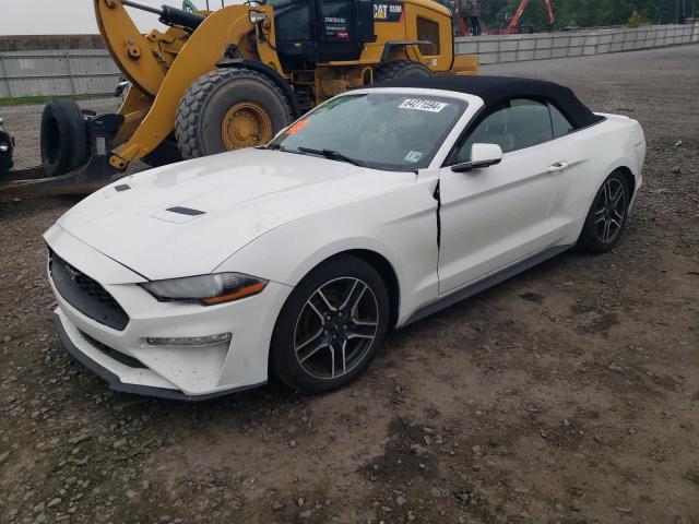 2019 FORD MUSTANG, 