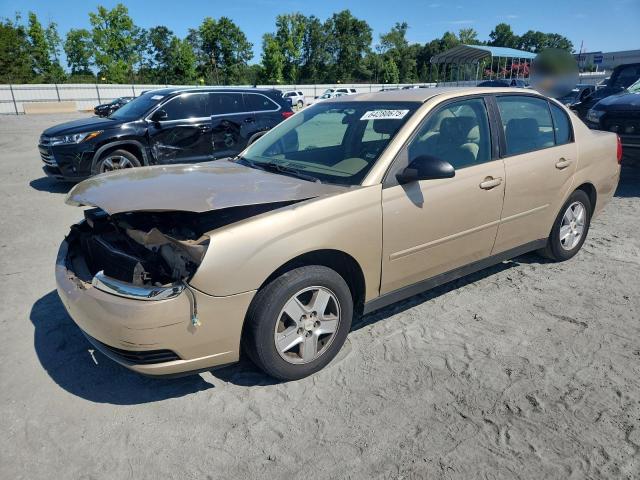 1G1ZT52804F114252 - 2004 CHEVROLET MALIBU LS GOLD photo 1