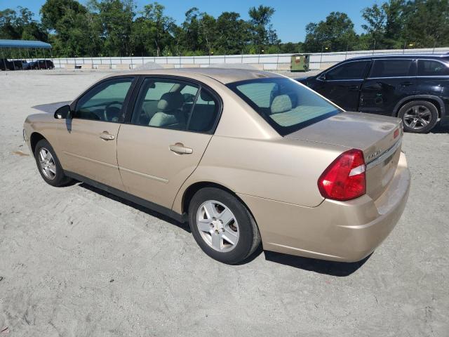 1G1ZT52804F114252 - 2004 CHEVROLET MALIBU LS GOLD photo 2