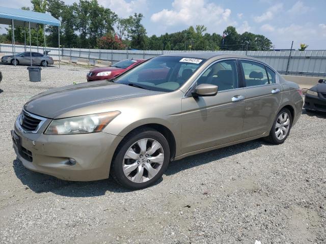 2010 HONDA ACCORD EXL, 