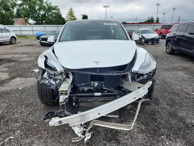 7SAYGDEF6RF041558 - 2024 TESLA MODEL Y WHITE photo 5