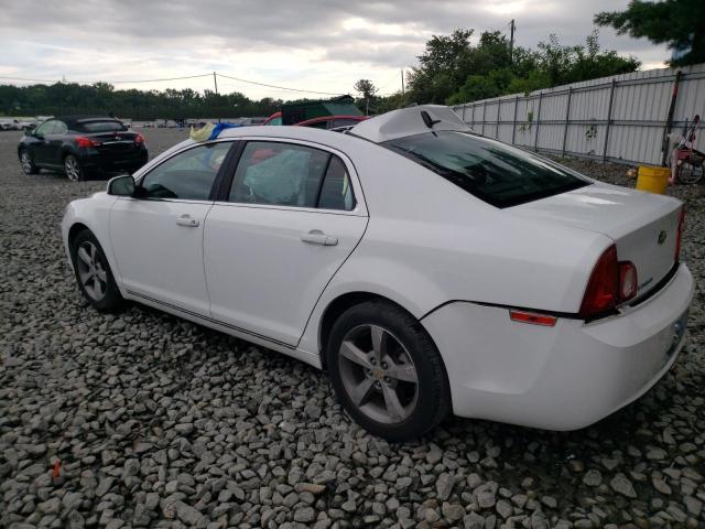 1G1ZC5E17BF295491 - 2011 CHEVROLET MALIBU 1LT 白色 照片 2