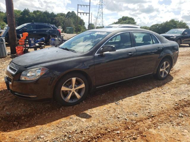 1G1ZC5E19BF315594 - 2011 CHEVROLET MALIBU 1LT BLUE photo 1