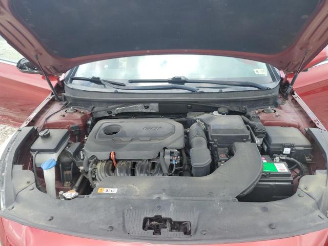 5NPE24AF8GH387260 - 2016 HYUNDAI SONATA SE 勃艮第红 照片 11