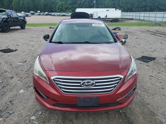 5NPE24AF8GH387260 - 2016 HYUNDAI SONATA SE 勃艮第红 照片 5