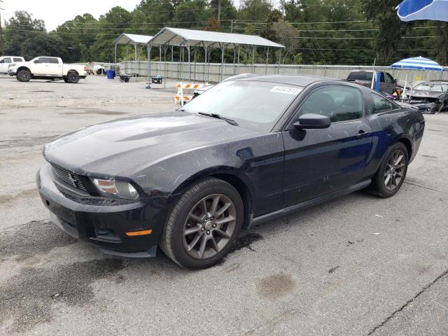 1ZVBP8AM5B5130038 - 2011 FORD MUSTANG BLACK photo 1