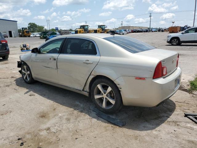 1G1ZC5E12BF264696 - 2011 CHEVROLET MALIBU 1LT TAN photo 2