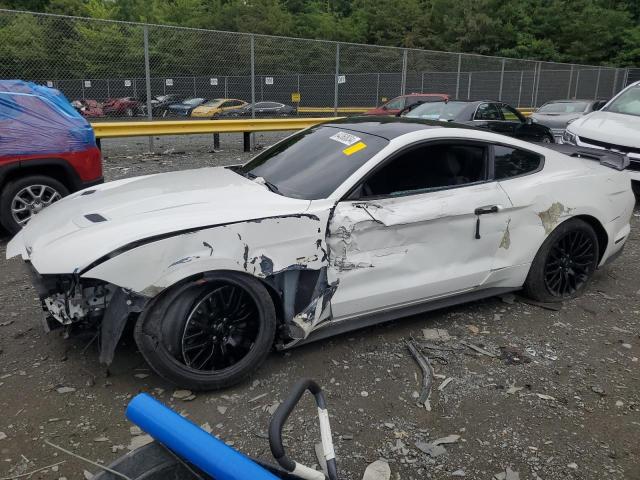 2019 FORD MUSTANG GT, 