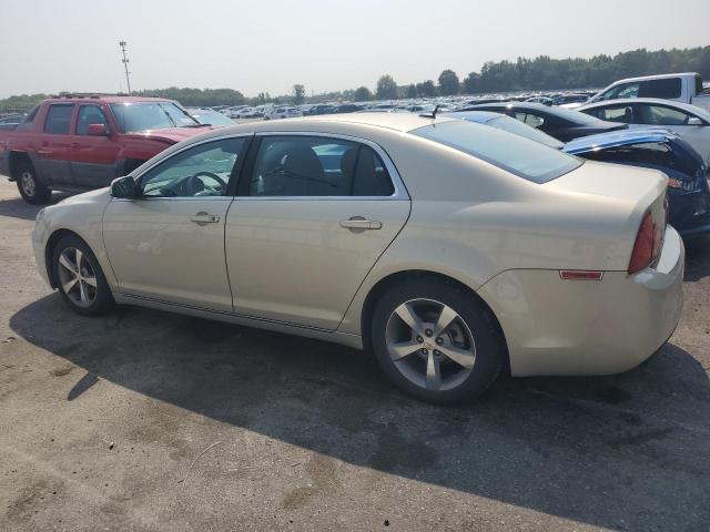 1G1ZC5E11BF231009 - 2011 CHEVROLET MALIBU 1LT 金色 照片 2
