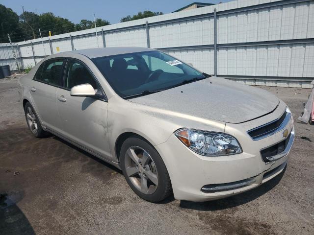 1G1ZC5E11BF231009 - 2011 CHEVROLET MALIBU 1LT 金色 照片 4
