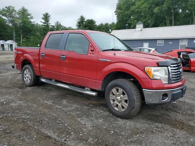 1FTFW1EVXAFB25489 - 2010 FORD F150 SUPERCREW RED photo 4