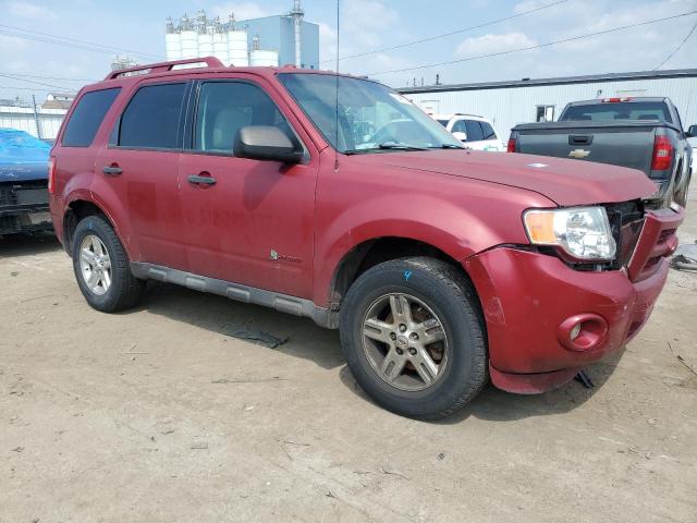 1FMCU4K30CKA84891 - 2012 FORD ESCAPE HYBRID RED photo 4