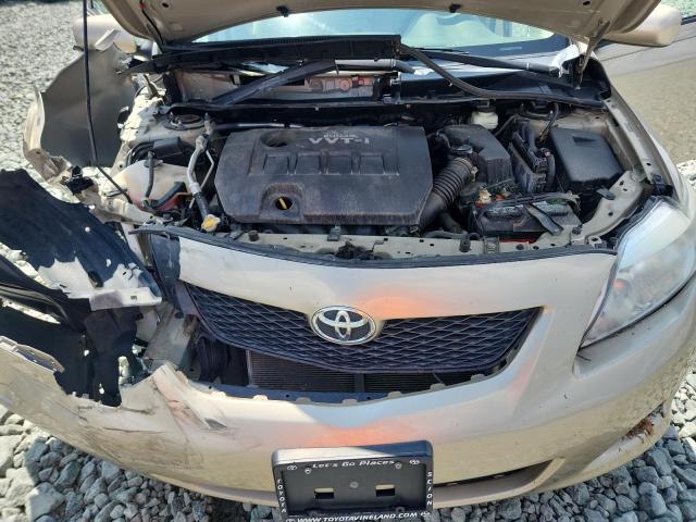 2T1BU40E19C127116 - 2009 TOYOTA COROLLA BASE 棕色 照片 11