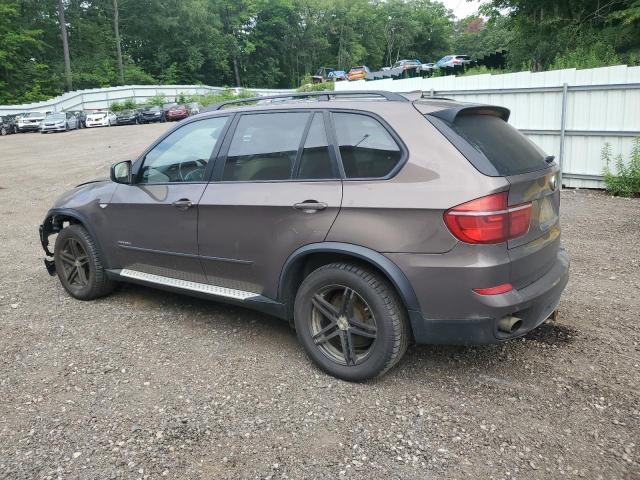 5UXZW0C50CL667648 - 2012 BMW X5 XDRIVE35D BROWN photo 2