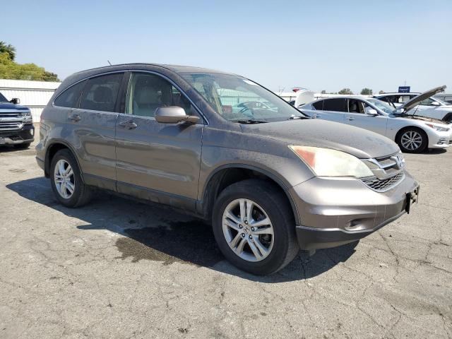 5J6RE3H75AL015762 - 2010 HONDA CR-V EXL GRAY photo 4