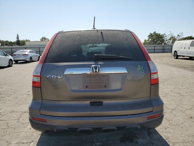 5J6RE3H75AL015762 - 2010 HONDA CR-V EXL GRAY photo 6