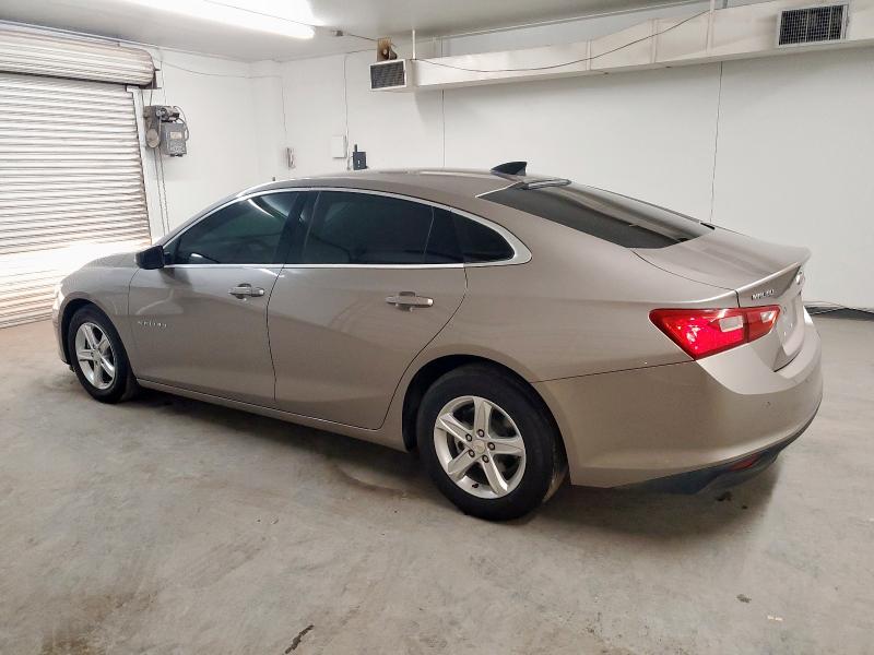 1G1ZB5ST7RF180179 - 2024 CHEVROLET MALIBU LS TAN photo 2