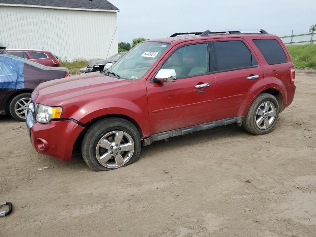 2011 FORD ESCAPE LIMITED, 